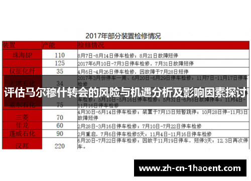 评估马尔穆什转会的风险与机遇分析及影响因素探讨 评估马尔穆什转会的风险与机遇分析及影响因素探讨