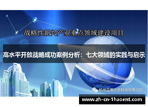 高水平开放战略成功案例分析：七大领域的实践与启示